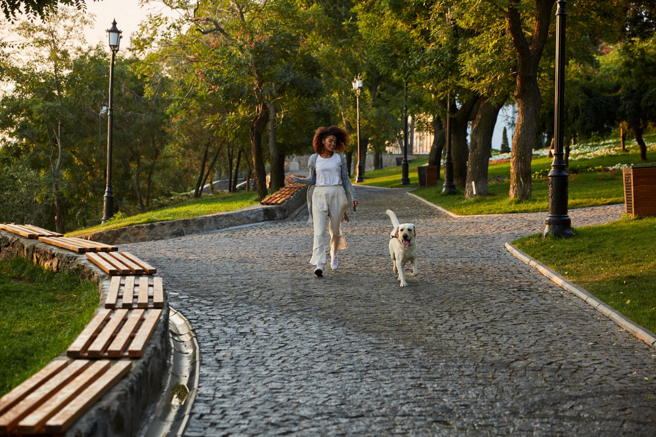 Woman walking dog in park